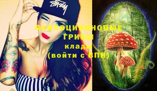 сатива Верея